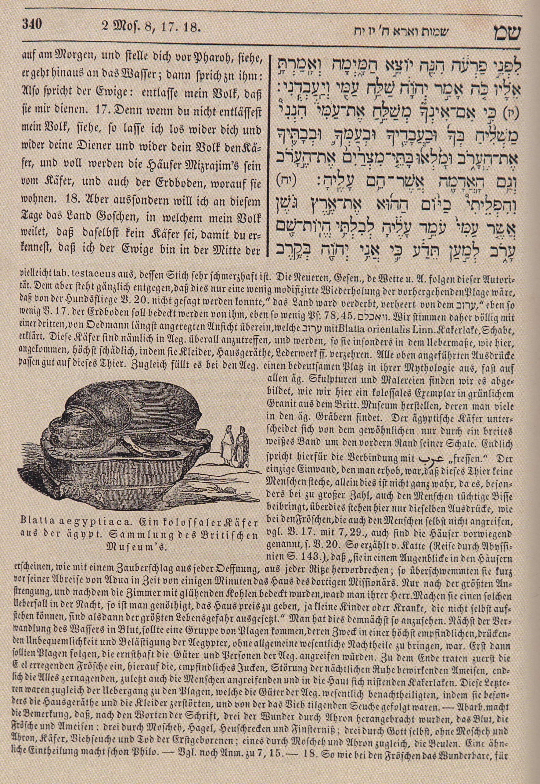 Freud et la Bible Philippson. Une voie royale vers la psychanalyse, Marc-Alain Ouaknin